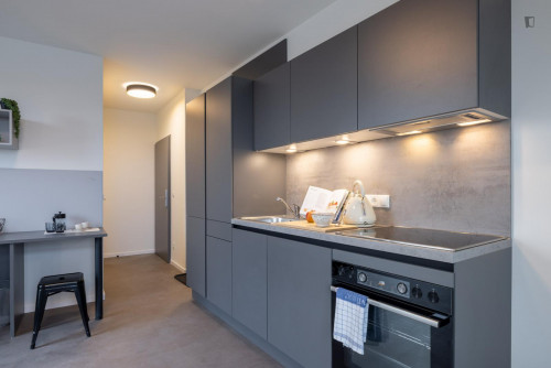 Lovely studio in proximity to the Technical University