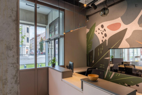 Lovely studio in proximity to the Technical University - Gallery - 34