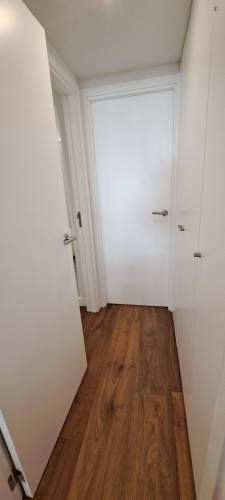 NEW 1-bedroom apartment SJM 125 - close to the Santos train station