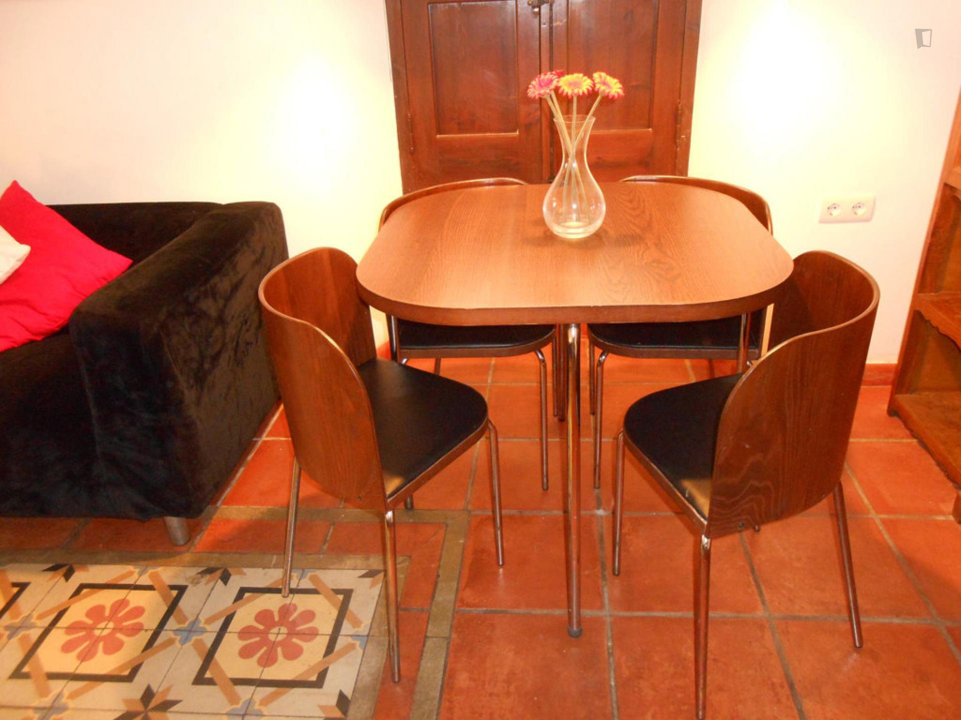 Charismatic 1-bedroom apartment near the Facultad de Derecho