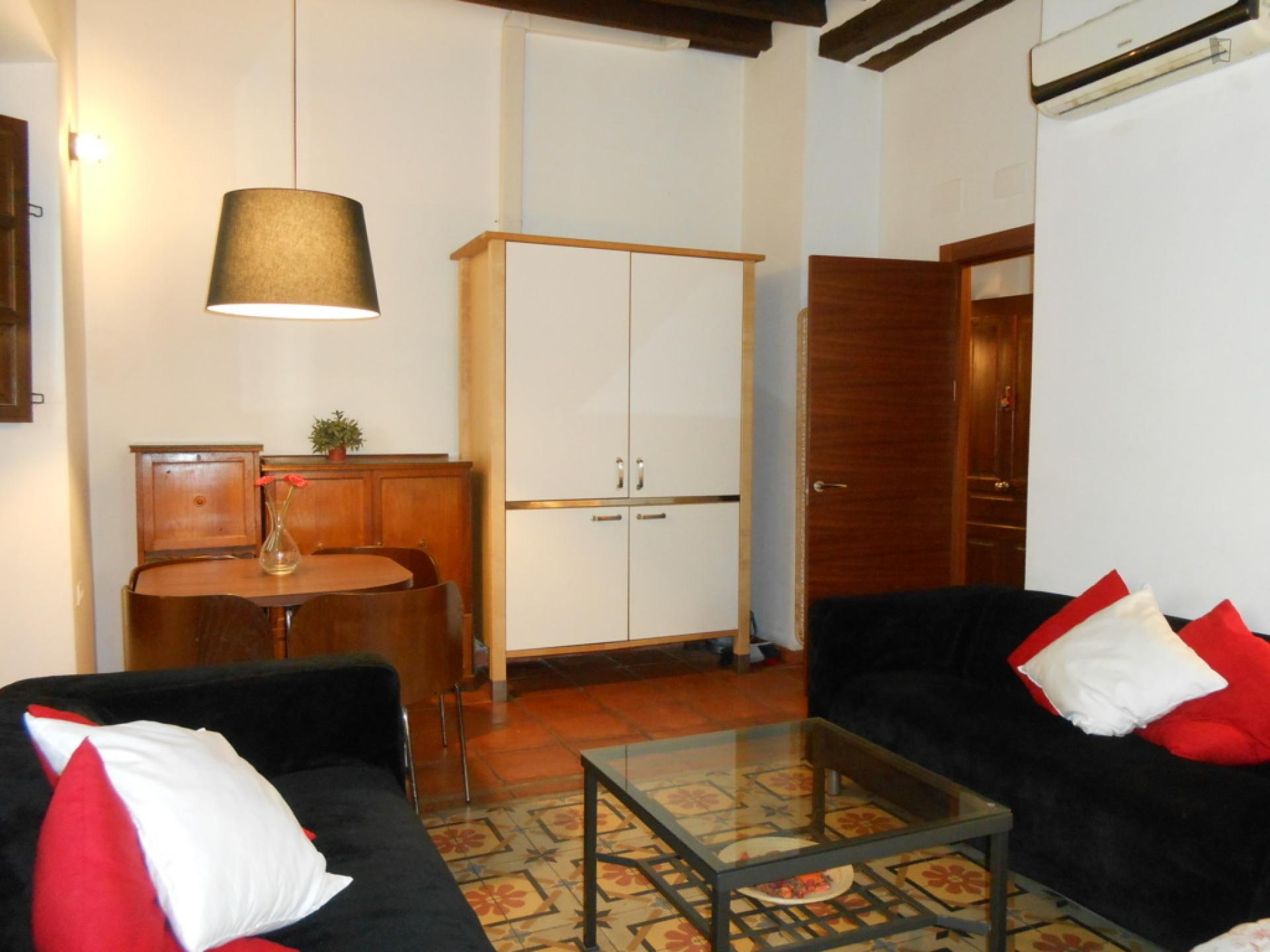 Charismatic 1-bedroom apartment near the Facultad de Derecho
