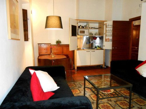 Charismatic 1-bedroom apartment near the Facultad de Derecho