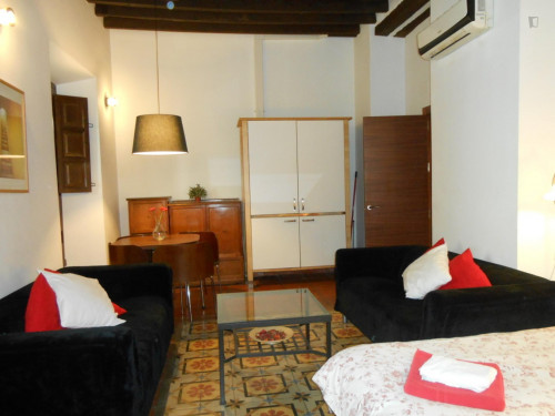 Charismatic 1-bedroom apartment near the Facultad de Derecho
