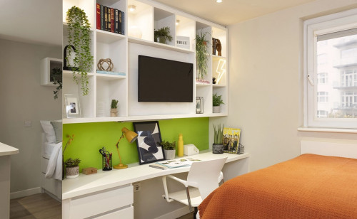 Drapery Plaza - Gallery - 23