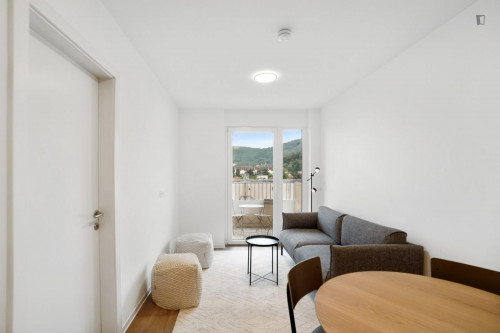 Graceful 1-bedroom apartment in proximity to the Graz main train station  - Gallery -  5