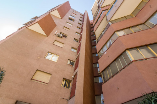 Nice single bedroom next to Plaza Papa Juan Pablo II