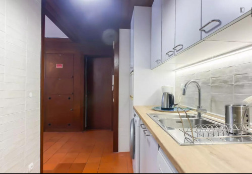 Modern 1 Bedroom Apartment close to Restauradores Metro
