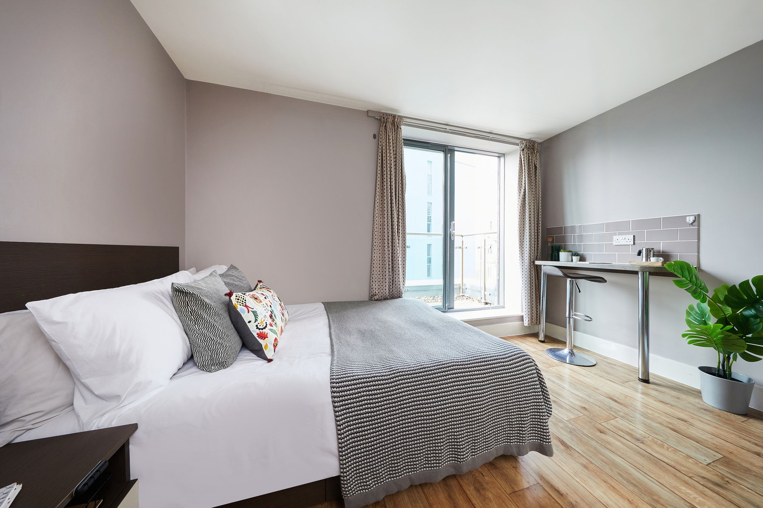 Collegiate Dashwood Studios