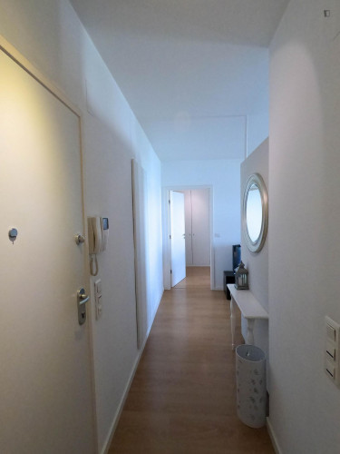 Modern 1-bedroom apartment in Entrecampos