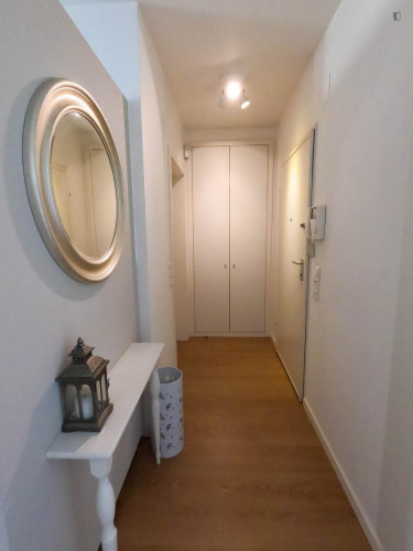 Modern 1-bedroom apartment in Entrecampos