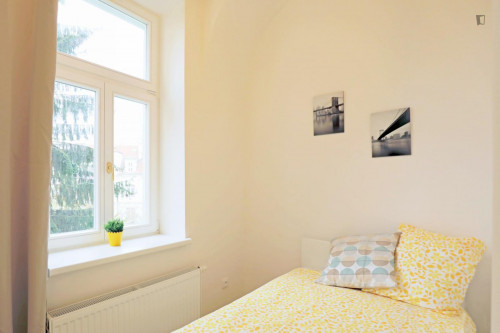 Comfy single bedroom in Žižkov