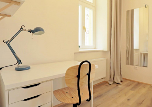 Comfy single bedroom in Žižkov
