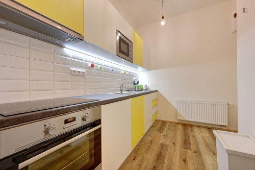 Comfy single bedroom in Žižkov