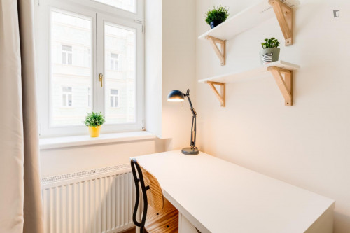 Beautiful single bedroom near the Hlavní nádraží metro