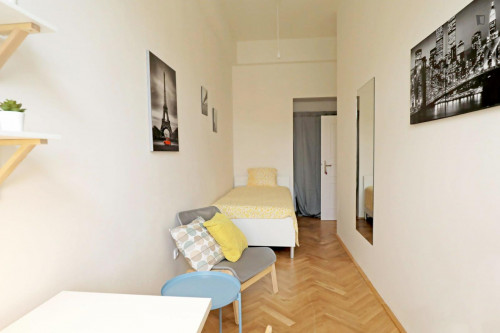 Inviting single bedroom in Žižkov