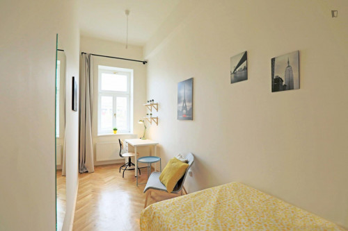 Inviting single bedroom in Žižkov