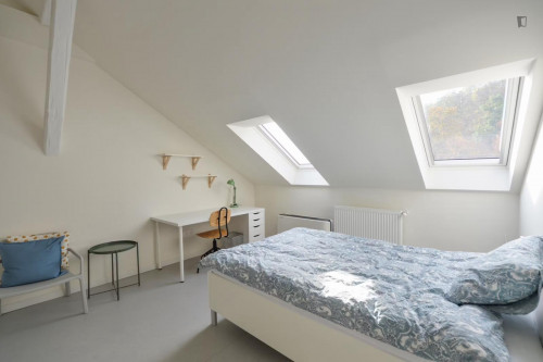 Beautiful single bedroom in the Malá Strana area