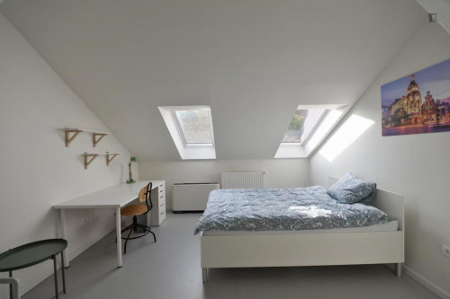 Beautiful single bedroom in the Malá Strana area