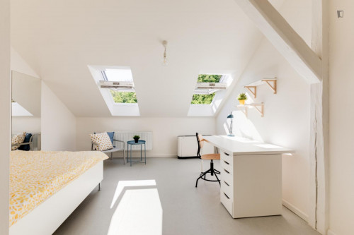 Very bright double bedroom in Malá Strana
