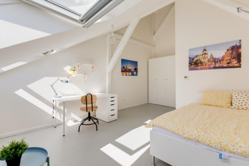 Very bright double bedroom in Malá Strana