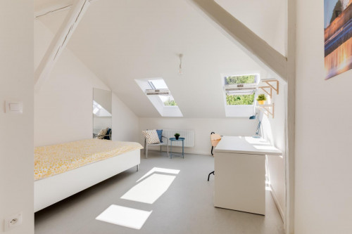 Very bright double bedroom in Malá Strana