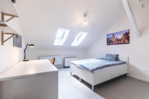 Cushy single bedroom in the Malá Strana area