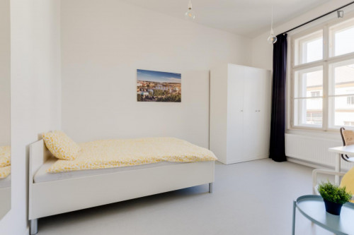 Sunny single bedroom close to Dětský Ostrov