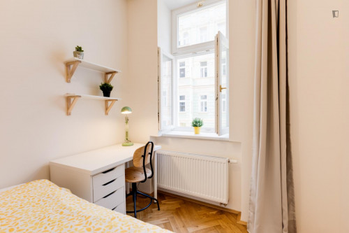 Bright double bedroom in Žižkov