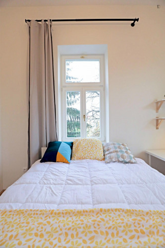 Bright double bedroom in Žižkov
