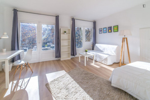 Sunny and big double bedroom in Les Arceaux