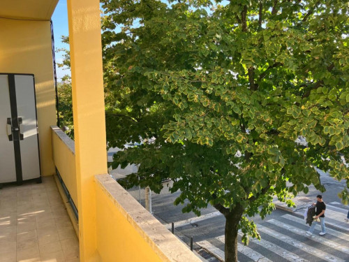 Luminous single room in Ajuda - Gallery - 9