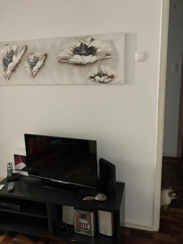 Luminous single room in Ajuda