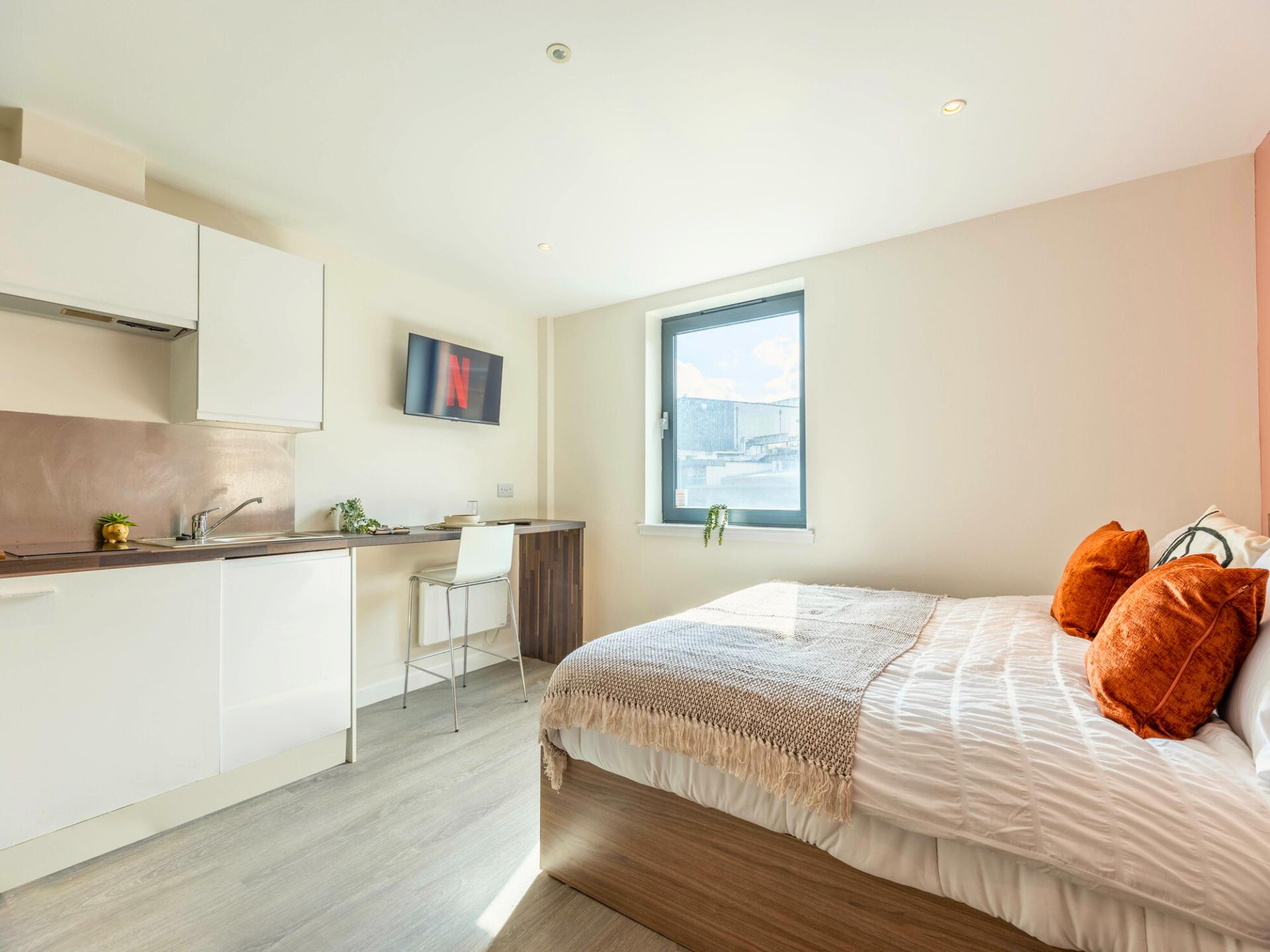  Classic Plus Studio  -  Gallery Apartments  - Gallery -  5