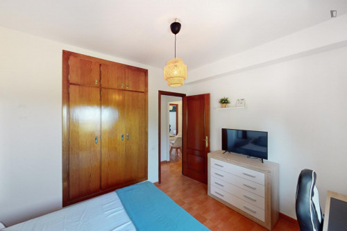 Attractive single bedroom