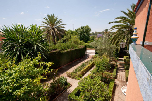 Nice house near Sevilla with 4 room and 3 bathrooms - Gallery - 32