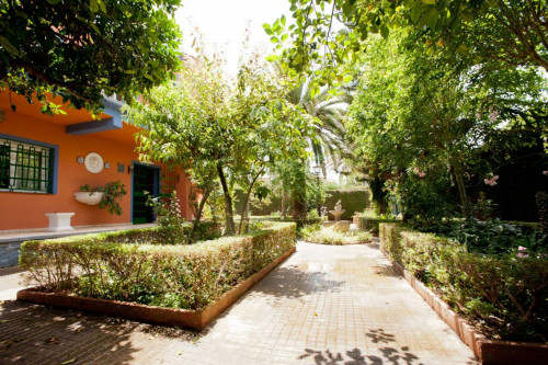 Nice house near Sevilla with 4 room and 3 bathrooms - Gallery - 35