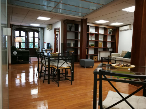 Charming 3-bedroom apartment near Catedral de Granada - Gallery - 10