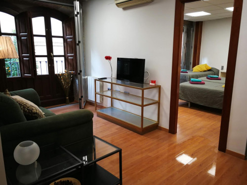 Charming 3-bedroom apartment near Catedral de Granada