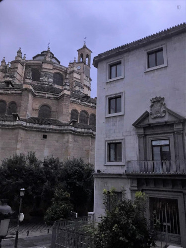 Charming 3-bedroom apartment near Catedral de Granada - Gallery - 15