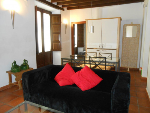 Amazing 2-bedroom apartment in the classic centre of Granada