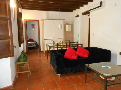 Amazing 2-bedroom apartment in the classic centre of Granada