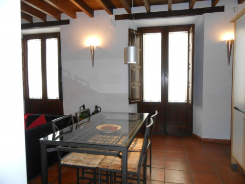 Amazing 2-bedroom apartment in the classic centre of Granada