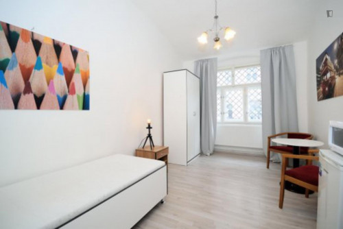 Inviting studio close to Prague University of Economics and Business