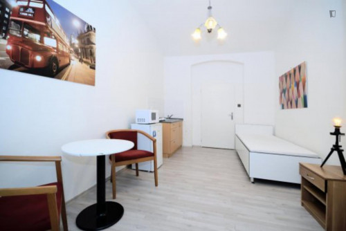 Inviting studio close to Prague University of Economics and Business