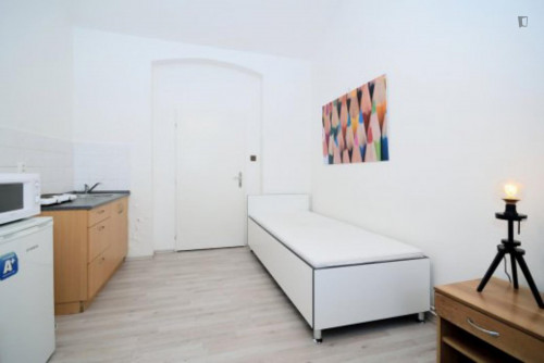 Inviting studio close to Prague University of Economics and Business