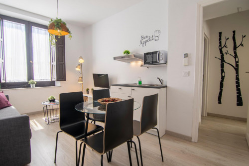 Nice 2-bedroom apartment near Iglesia de San Antón