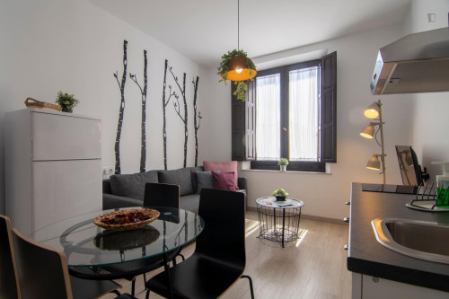 Nice 2-bedroom apartment near Iglesia de San Antón