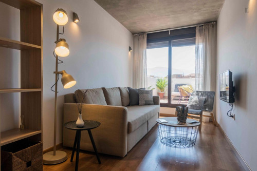 Bright 1-bedroom apartment near Iglesia de San Antón