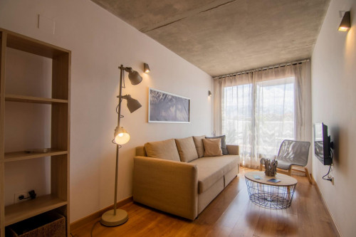 Bright 1-bedroom apartment near Iglesia de San Antón
