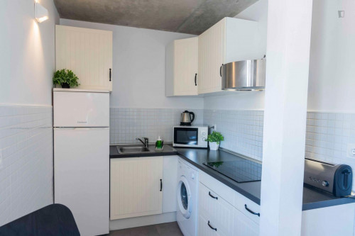 Bright 1-bedroom apartment near Iglesia de San Antón  - Gallery -  5
